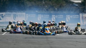 Поредно страхотно представяне на Никола Цолов