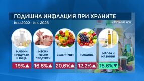 В разгара на лятото салатата поевтинява, но инфлацията удари сладоледа