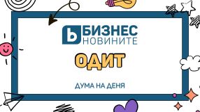 Дума на деня: Одит