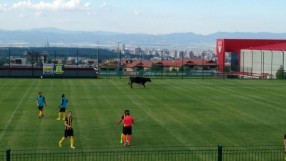 Бик прекъсна контролата на 