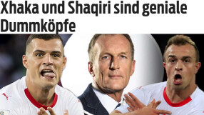 Швейцарският 