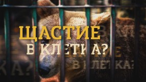 bTV Репортерите: Щастие в клетка?