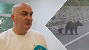 Нападнатият от мечка в Румъния българин: Стъклото на автомобила беше вестник за нея. За секунди влезе при мен