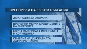 Процедурата за свръхдефицит срещу България: Какво ни каза Европа и какво следва?