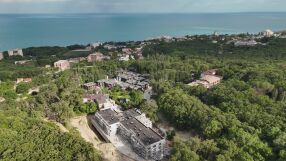„2023 г. изсякоха гората. Това е тотална мафия“: Пред bTV говорят съседи на града-фантом в „Баба Алино“