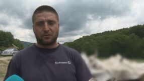 Мъжът, загубил стадото си край Калофер: Мъчно ми е. Гадих това стадо от дете, а мълнията го взе за миг