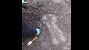 Още открития на Хераклея Синтика - мраморен торс може да е на Аполон или Дионис (ВИДЕО)