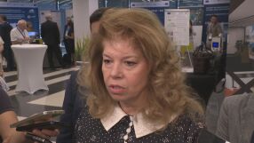 Йотова: Подпалването на дипломатическите коли в Скопие е посегателство срещу страната ни