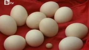 Няма да свалят цените на яйцата
