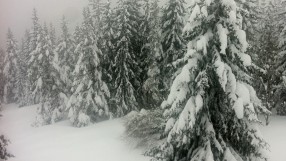 Заради лошото време: Национали са блокирани в базата в Белмекен