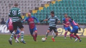 Плейофите в 