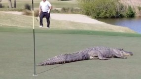 Внимание! Чудовище на игрището! (ВИДЕО)