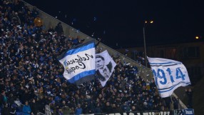 Феновете на 