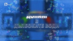 Становище на федерацията по плуване след филма на bTV 