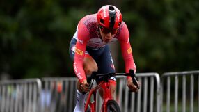 Колоездач уби котка, глобиха го