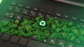 Как да живеем зелено в ежедневието си?