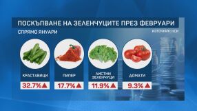 Цената на салатата: Какви са цените на зеленчуците от производител до потребител?