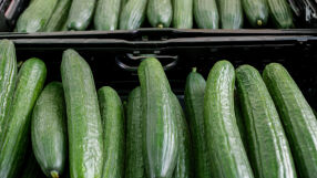 Краставиците ще са по-скъпи от розовия домат това лято