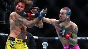 Как изглеждат 150 удара в главата? (СНИМКИ)