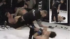 Какви са правилата тук? Рефер нокаутира ММА боец (ВИДЕО)