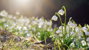 Преобладаващо слънчево днес, слаб дъжд на места. Температурите - до 18°