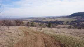 Ето коя ще бъде 