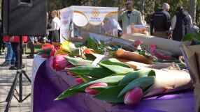 С цвете в ръка срещу репродуктивните проблеми: Купи цвете - зарадвай дама!