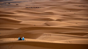 Семейството на бизнесмен бяга през пустинята от Дубай към Оман с бебе на ръце
