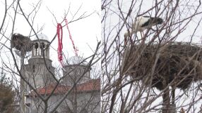 „На 28 февруари чистехме църквата. Щъркелът Дончо дойде тогава“: В хасковското село Подкрепа вече закачат мартениците по дръвчетата