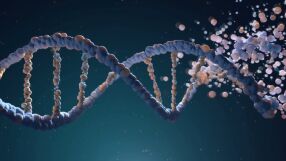 Защо остаряваме? Интервю на Виктория Петрова с проф. Бьорн Шумахер