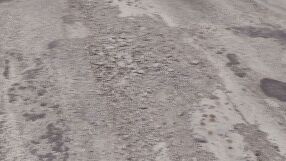 Авариен ремонт затвори за пет часа "Дунав мост" при Русе