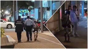 „Ще ми докараш инфаркт!“: Робот беше арестуван, защото уплаши възрастна жена