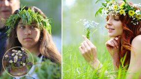 Цветница - защо носим върбови клонки?