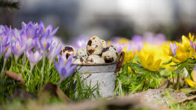 На Благовещение облачността се разкъсва, температурите - до 16 градуса