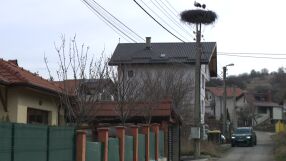 Когато нападнали полицая: Михайлов и приятелите му били с маски, въоръжени с пушки