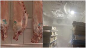 БАБХ затвори месопреработвателно предприятие в Монтана