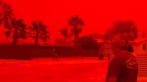 Циклон удари Австралия: Прекъснати доставки на втечнен природен газ, хиляди са без ток 