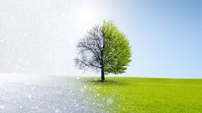 Времето през април: Температури между -5° и 29°