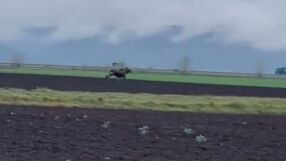 За първи път от 200 години насам в Румъния се появи лос. Заснеха го как тича през поле