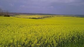 Таксите за поземлена собственост са актуализирани