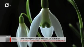 Български продукт - любим на Опра Уинфри