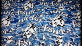 Феновете от 