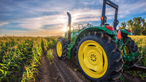 Земеделската земя е поскъпнала над 6 пъти