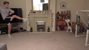 МЯУ-ноел Нойер в акция (ВИДЕО)