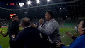 Бивш треньор на Левски в яко меле в Словения (ВИДЕО)