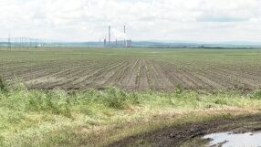 Земеделците в Германия борят сушата с отглеждане на соя