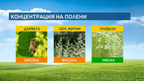 Слънцето през следващите дни ще повиши концентрацията на полени