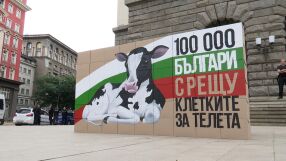 Хора в клетки протестират пред парламента