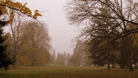 Днес времето ще бъде и мъгливо, и слънчево 