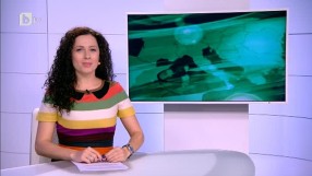 Спорт - Обедна емисия - 04.11.2014 г.